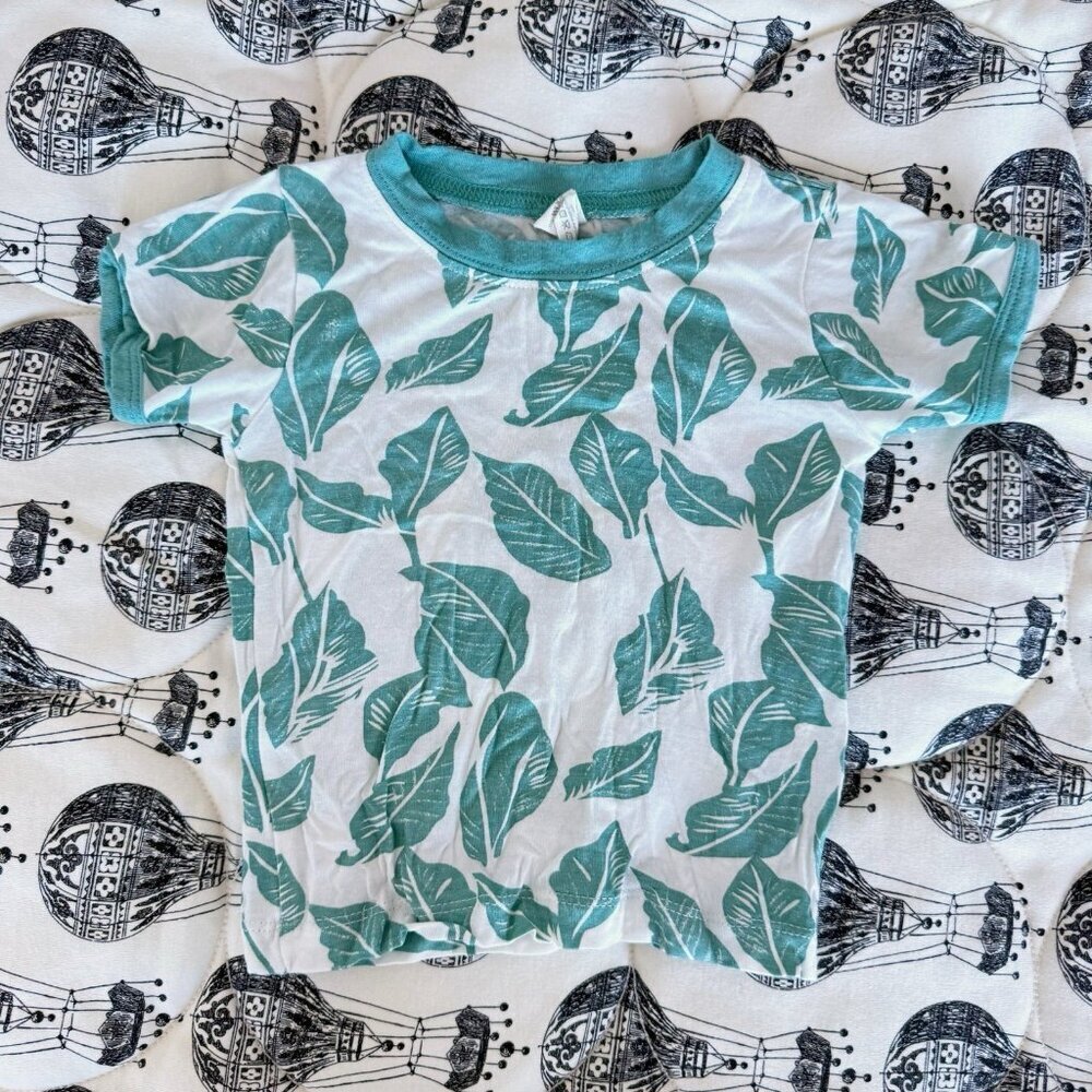3 for $20 Kate Quinn Organics Baby Boy short sleeve ringer tee 12-18 months